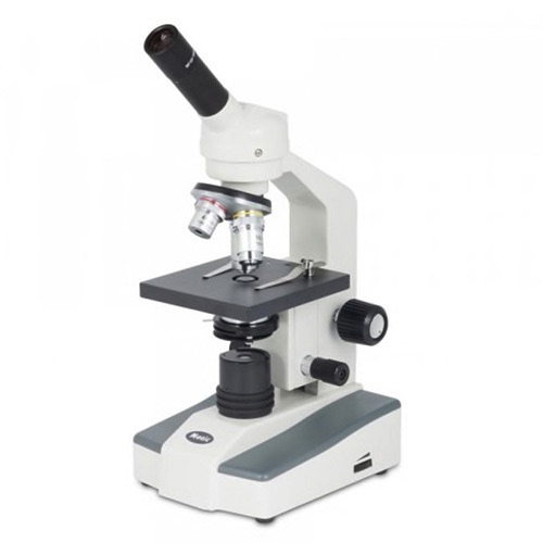 maladies parodontales microscope